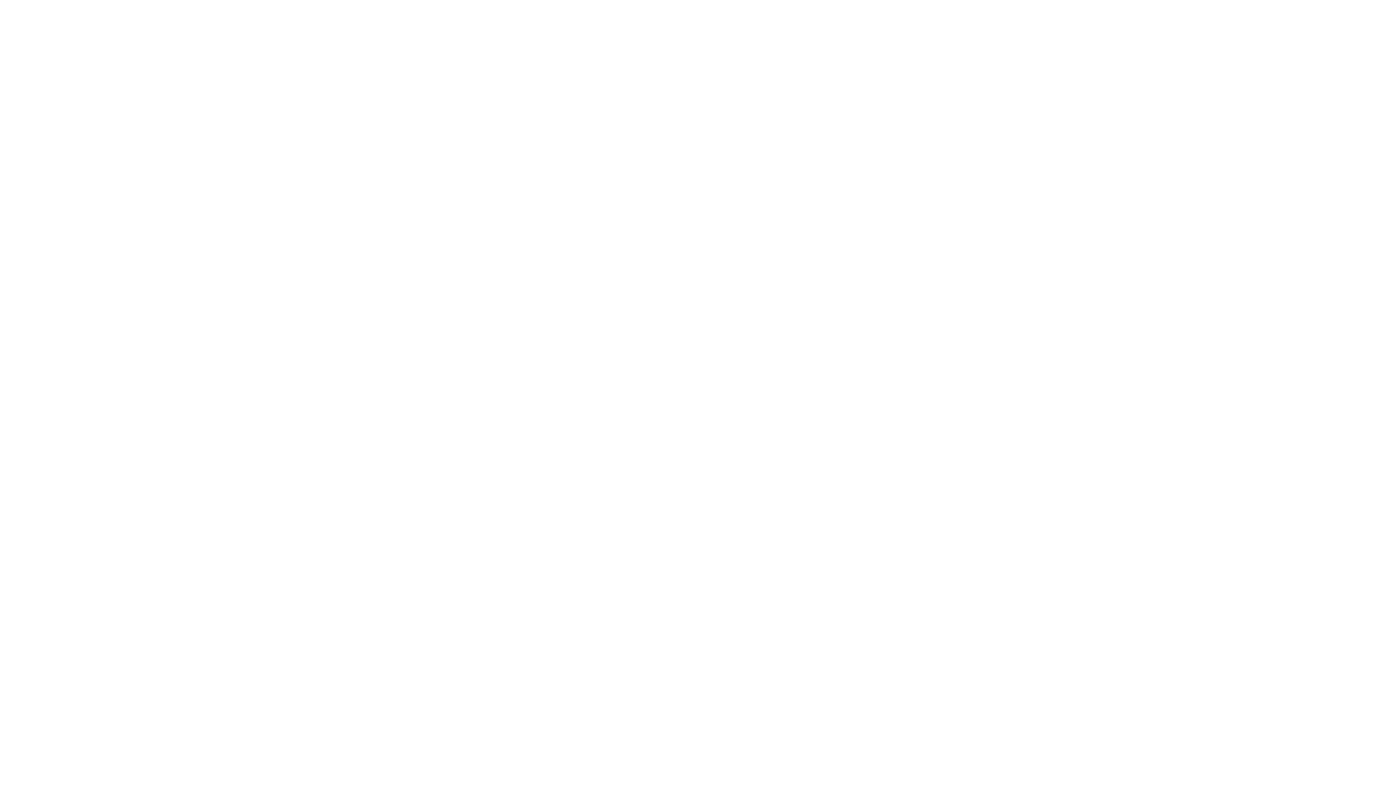 Saundersfoot Wombles